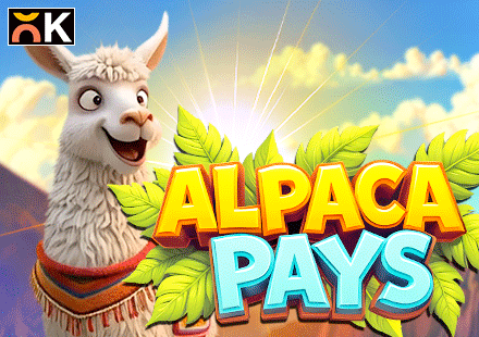 Alpaca Pays